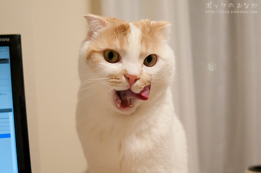 んまかった♪