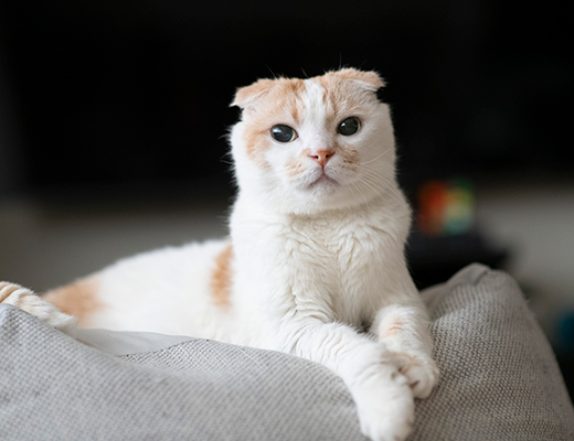 ひさしぶり ひさしぶり