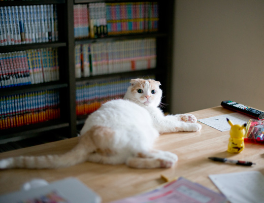 呼んだ？